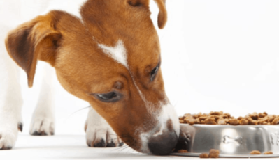 AdSmart + CPG Dog Food