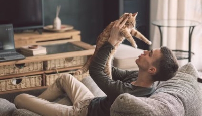 Cross Platform Incremental Reach + Pet Food